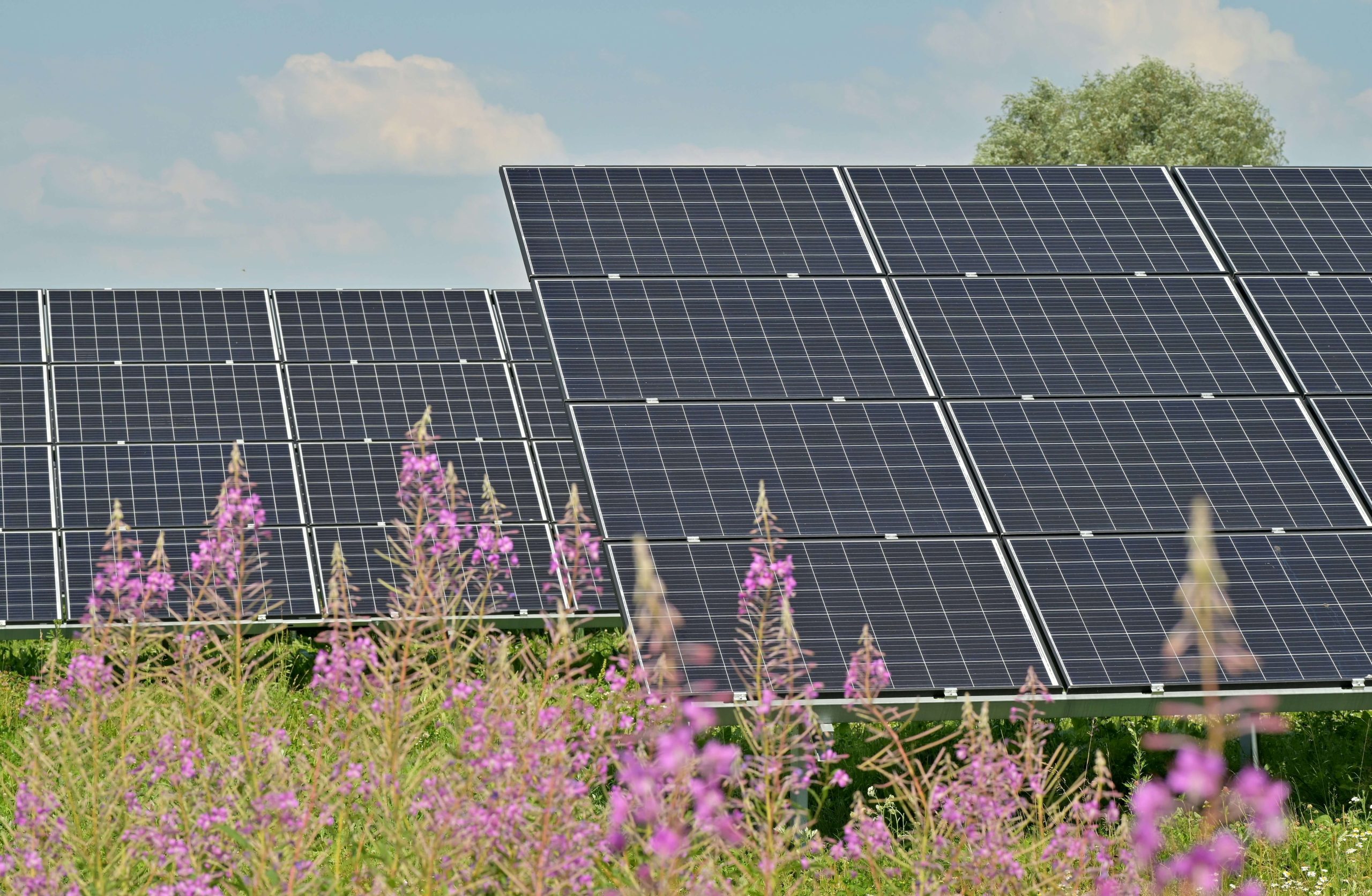 reciclar paneles solares