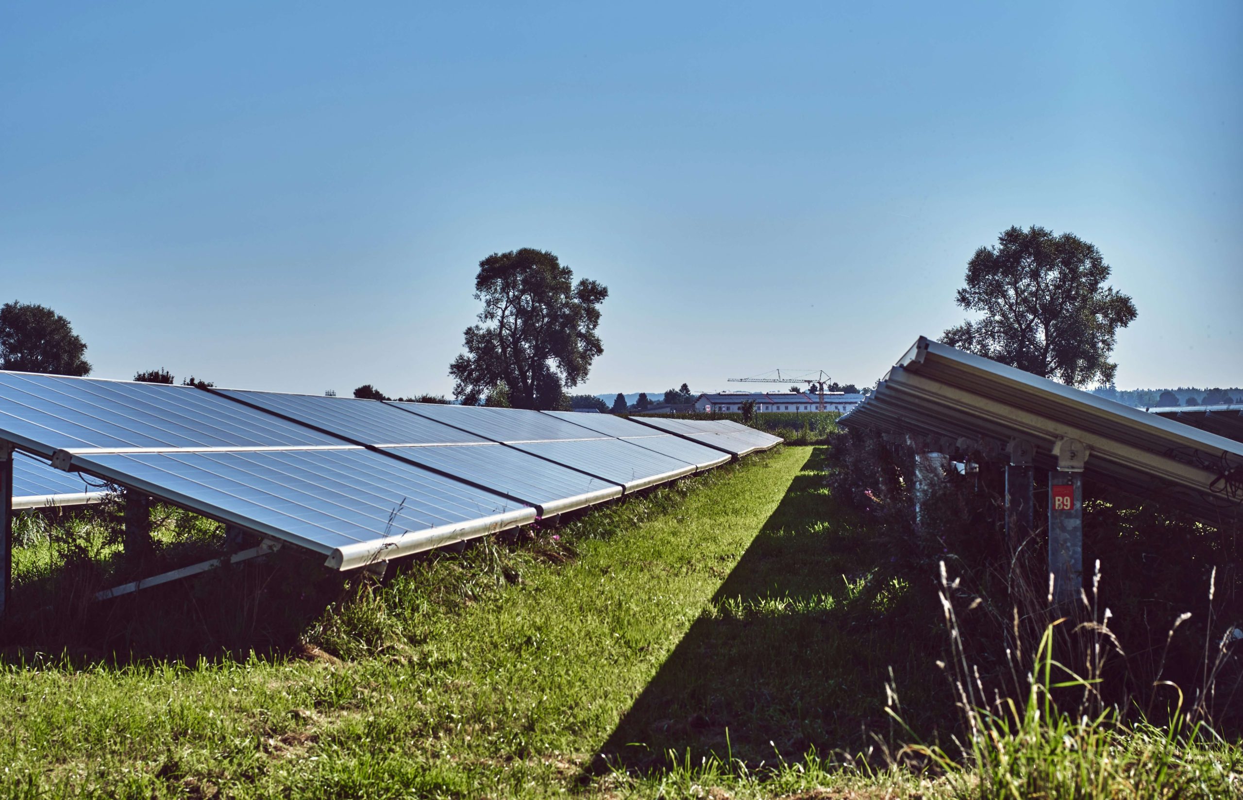 ¿Qué ocurre con los paneles solares reciclados?